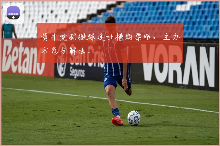 黄牛党猖獗球迷吐槽购票难,主办方急寻解法!