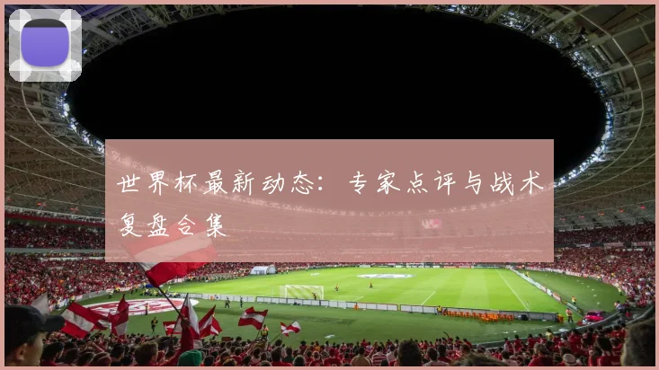 世界杯最新动态:专家点评与战术复盘合集