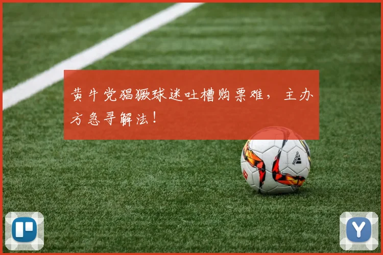 黄牛党猖獗球迷吐槽购票难,主办方急寻解法!