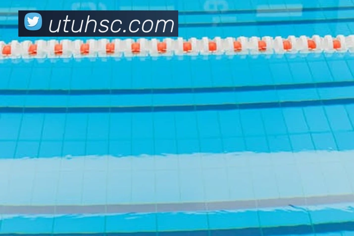 2026世界杯官网服务体系